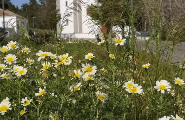 Casa Dora Gold by SesimbraSunSea - Foto 17