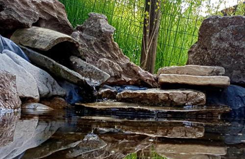 Chalet Vacanze Il Daino - Foto 21