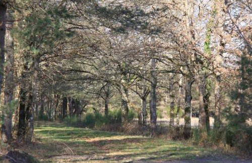 Gîte à la campagne groupe et famille 3 chambres Espace Jacuzzi hammam SPA - Photo 25