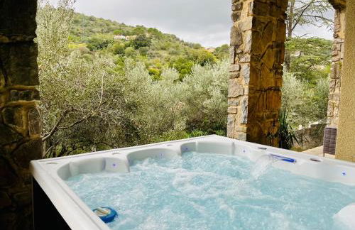 Le domaine des Oliviers ALES Piscine Jacuzzi Sauna - Foto 71