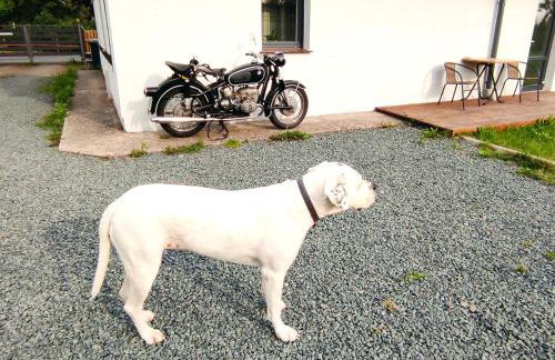 Willa Osada Pogodno - Foto 42