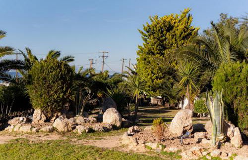 Villieta Marina - Foto 24