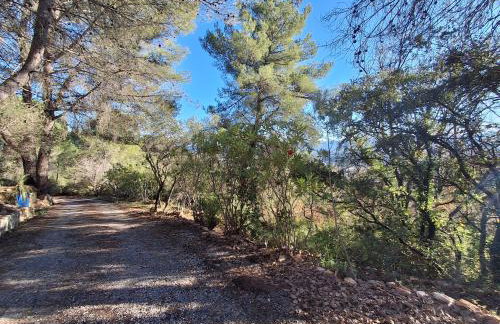Les Ribas villa groupe, de 4 a 14 personnes, maison familiale, séjour nature, calme, Provence, Plaine des Maures, proche mer, Verdon, randonnée, terrain arboré, jeux enfants, pétanque, ping-pong, cuisine équipée, grande capacité, vacances en groupe - Foto 43