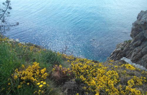 LE PETIT COIN DE PARADIS - Foto 25