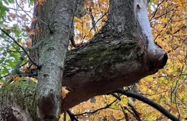 Rutland Hill Farmhouse - Foto 53