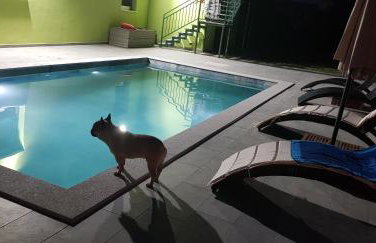 Apartment Maja - Photo 9