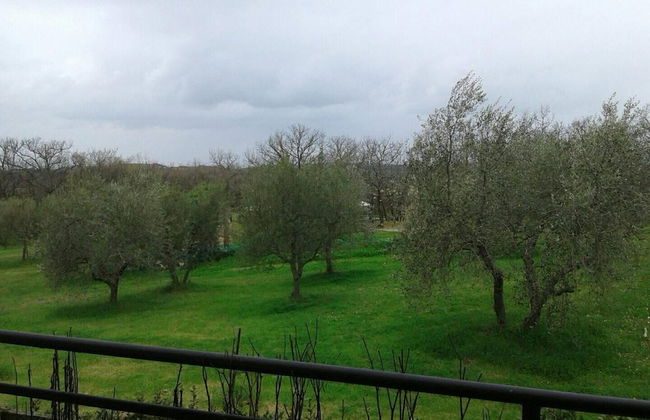 Casa Annick Holiday Home Chianti Area Florence - Photo 74