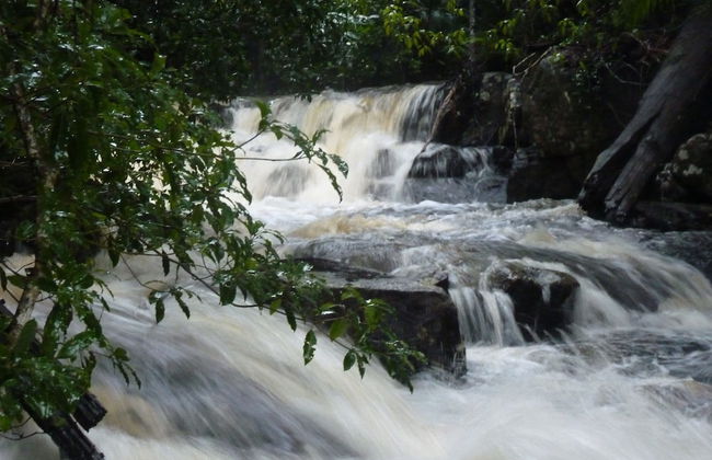 Bellthorpe Stays - Foto 62