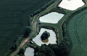 Newcourt Barton - Photo 61