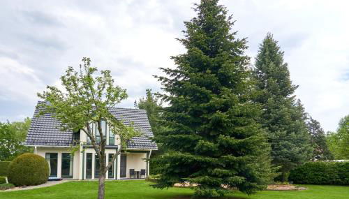 Spreewaldoase - Foto 5