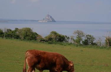 Gîte le 7 de Coeur, Baie Mont St Michel - Foto 19
