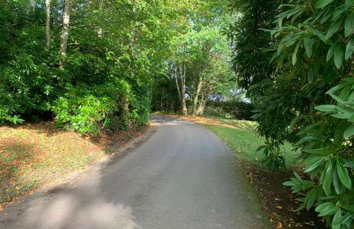 The Hideaway - Photo 16