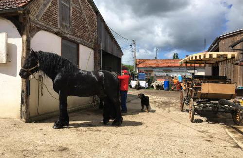 JARDIN DE CAMPAGNE - Foto 44