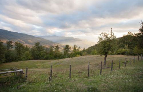 Agriturismo Le Querciole - Photo 25