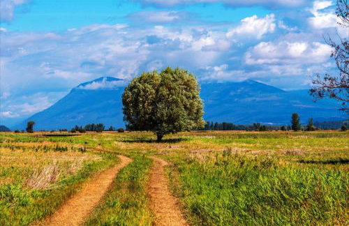 Comfy close to Lake Pend Oreille Schweitzer - Foto 26