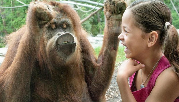 Go City - San Diego Explorer Pass - Accès à jusqu'à 7 Attractions - Photo 3