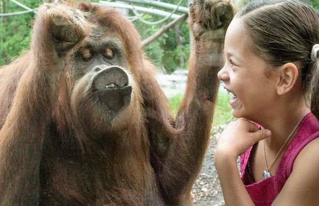 Go City - San Diego Explorer Pass - Accès à jusqu'à 7 Attractions - Photo 3