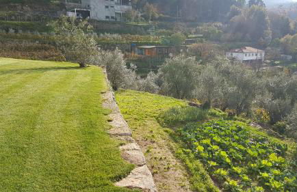 Casa de Campo - Cinfães do Douro - Foto 17