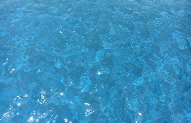 Villa Gaia Agriturismo and B&b - Photo 28