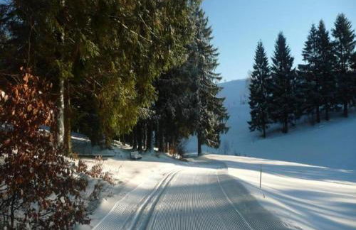 Small and Cozy Apartment in Frauenwald near Forest - Foto 40