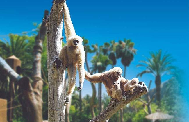 Palmitos Park Ticket - Photo 2