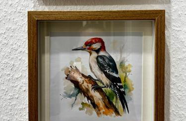 Spechthöhle - St. Georgen - Foto 14