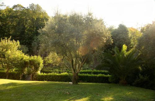 Quinta de Barbêdo - Turismo Rural - Foto 20