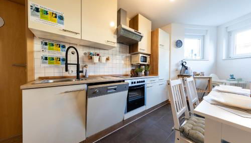 Fe Wo Europa Park - Rulantica-Straßburg - Colmar - Klimaanlage- Wallbox - Foto 5