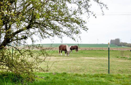 Haus Salzhaff an der Ostsee - Foto 34