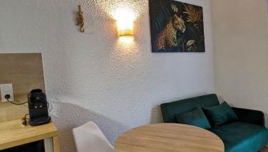 Studio Duplex le Jungle - Bourgoin Centre - Foto 4