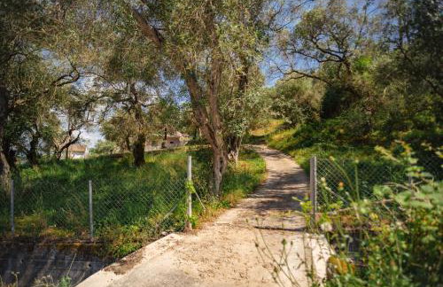 Villa Margarita - Foto 19