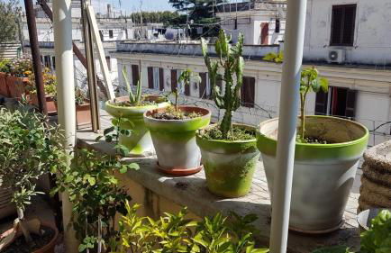 Robta's Dream Home - Foto 17