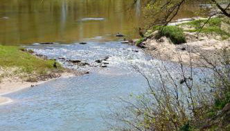 Spacious Cottage Rental for Group Getaway on Ranch near Dallas, Texas - Foto 5