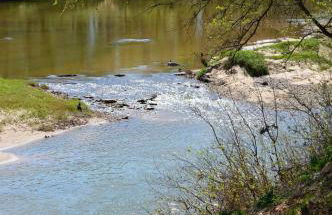 Spacious Cottage Rental for Group Getaway on Ranch near Dallas, Texas - Foto 5