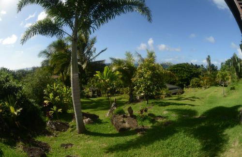 Kalani Hawaii Private Lodging - Foto 63