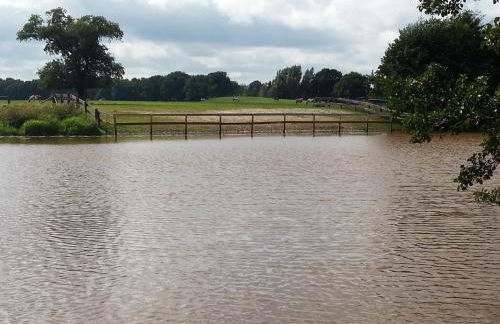 Ferienhäuser im Ferienhausgebiet Hof Beel - Foto 31