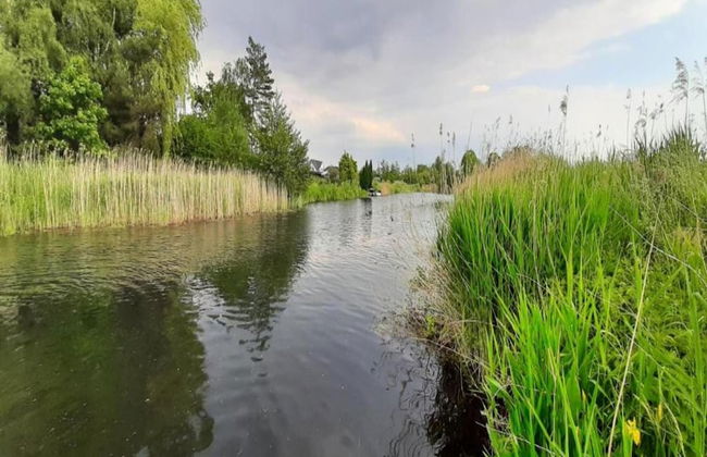 Wooden House in Plate Near Lake Schwerin - Foto 36