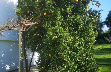 Casal de Perros - Foto 11