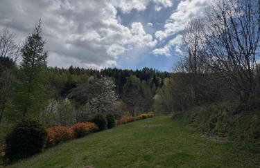 Dom w górach Zacisze lasu z prywatną balią - Foto 35