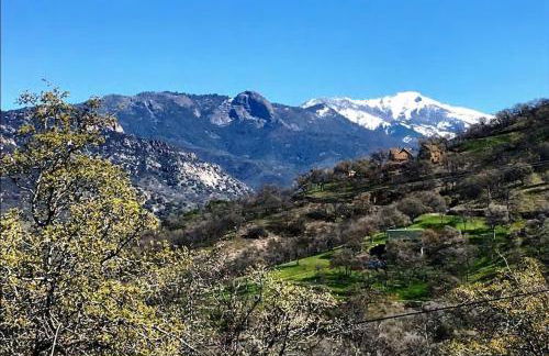 Shady Knoll - Photo 39