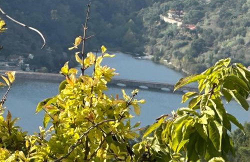 Casa Loureiro - Vista Rio Douro - Foto 5