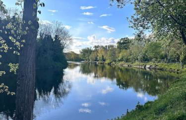 City Altstadt Appartement in unmittelbarer Nähe zu Saale und Marktplatz mit privatem Parkplatz - Foto 19