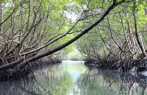 Mangue House 3 - Foto 12