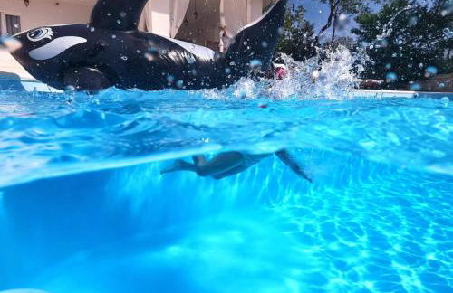 Unique retreat - Apartment Harmony with private pool - Photo 13