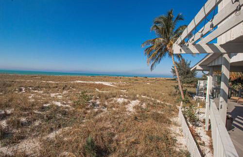 Sunshine State of Mind - Foto 30