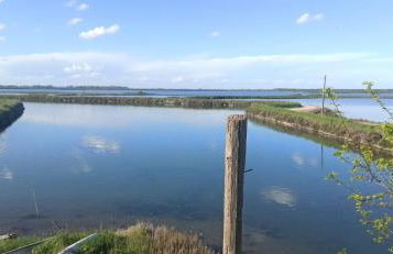 Casa Vacanze Nel Delta del Po - Foto 52