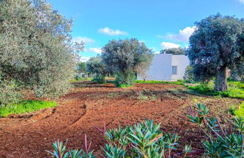 Casa Tosca - Foto 16