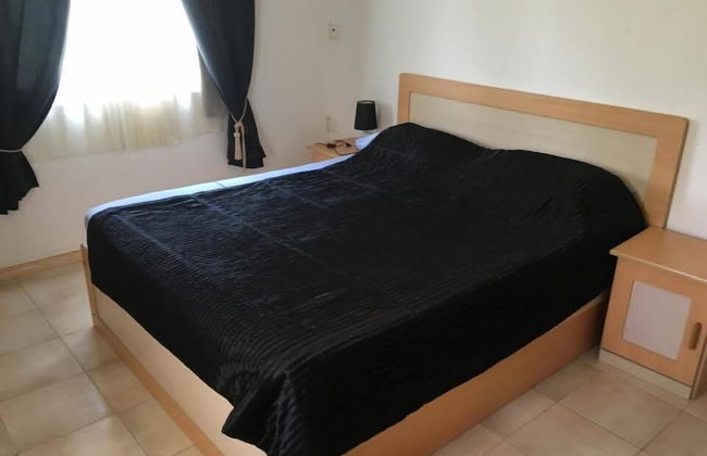 Faisan Dore - Photo 5