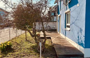 TheBlue Oak Apartments - Photo 35