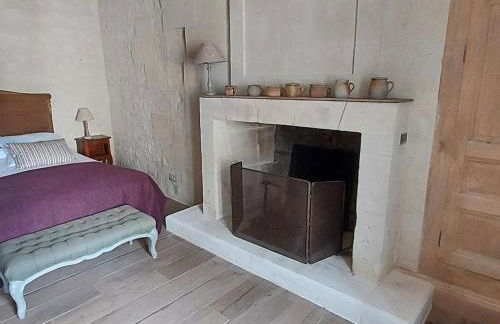 Gîte de charme avec jardin au cœur des châteaux, WiFi, parking inclus - FR-1-381-543 - Foto 16